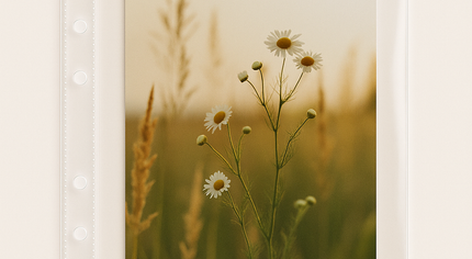 A5 Photo + Keepsake Sleeves